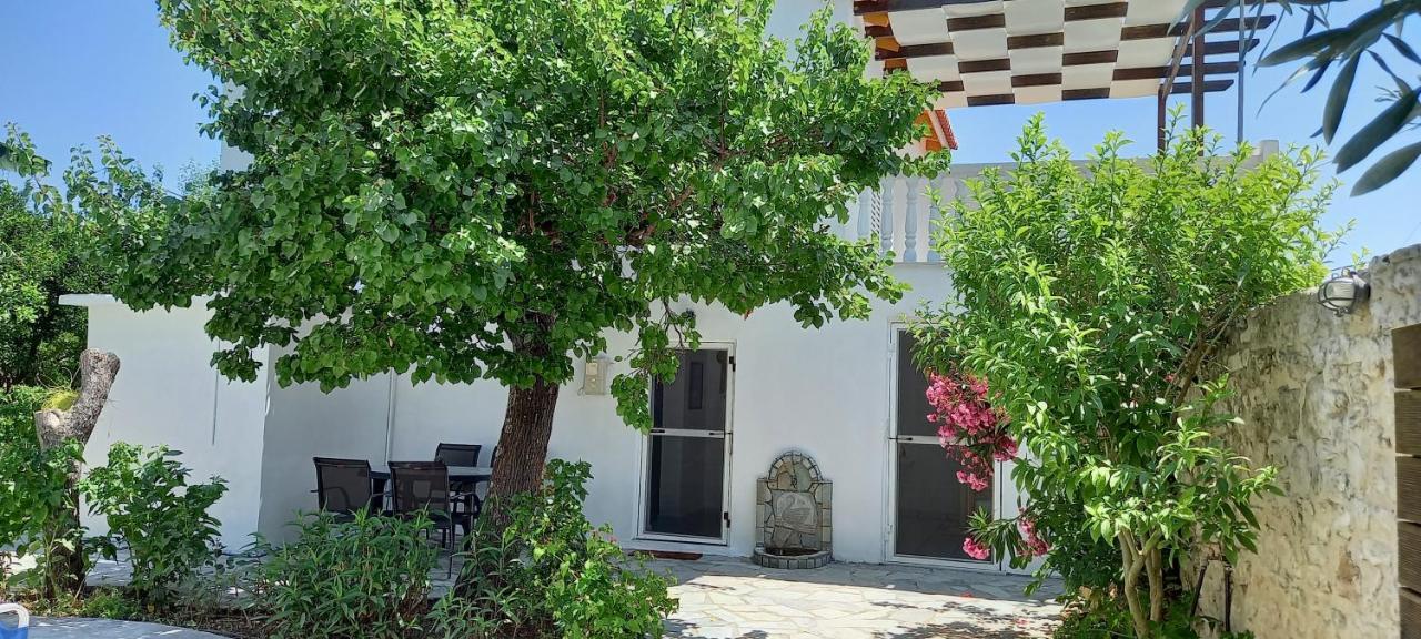 Kypseli Villa Beloussi Zakynthos المظهر الخارجي الصورة
